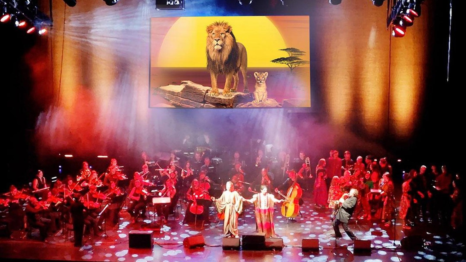 K-nig-der-L-wen-kommt-nach-Erfurt-und-bringt-Hakuna-Matata-f-r-Th-ringen