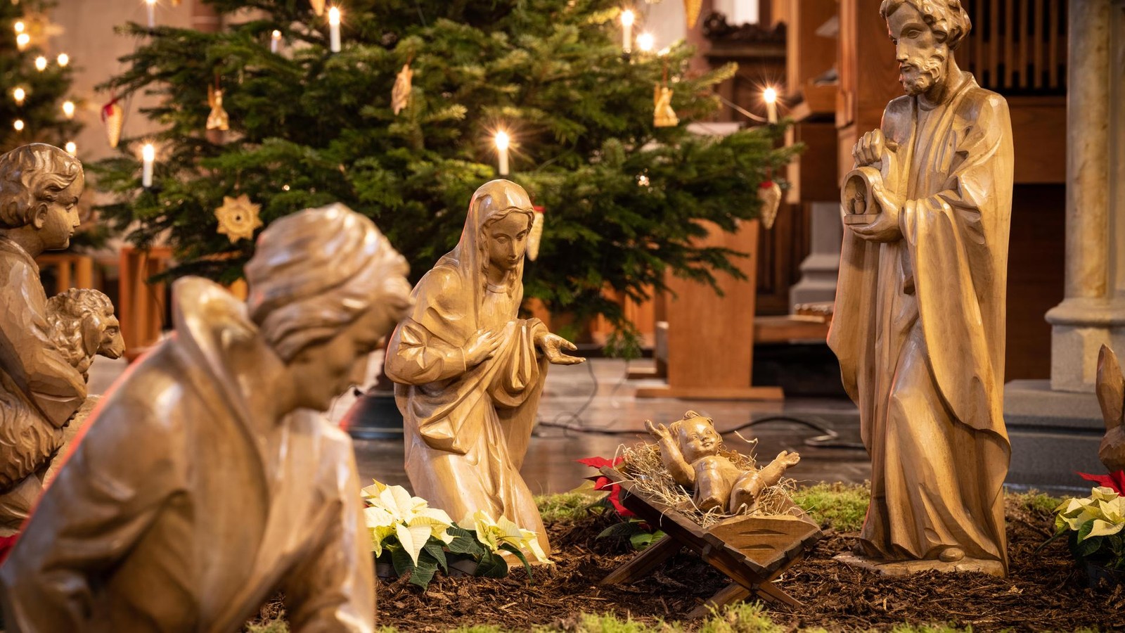 Harte-Zeiten-wie-man-trotzdem-widerstandsf-hig-bleibt