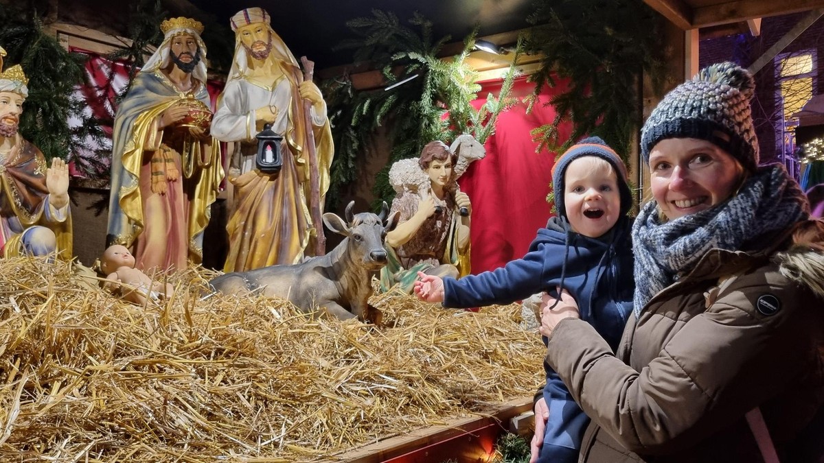 Krippe Weihnachtsmarkt Bergedorf St. Petri und Pauli
