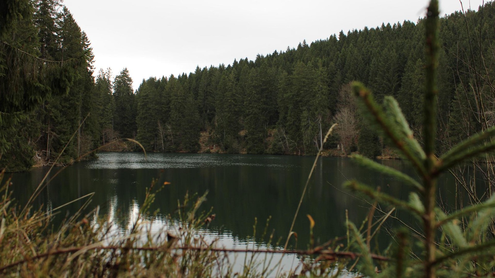 Wandern-Eine-entspannte-Oase-im-Harz-die-man-kennen-sollte
