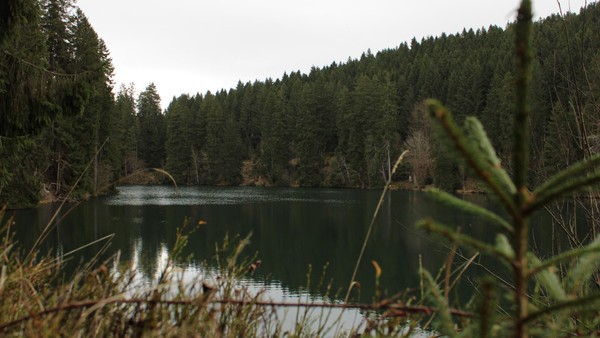 Wandern: Eine entspannte Oase im Harz, die man kennen sollte