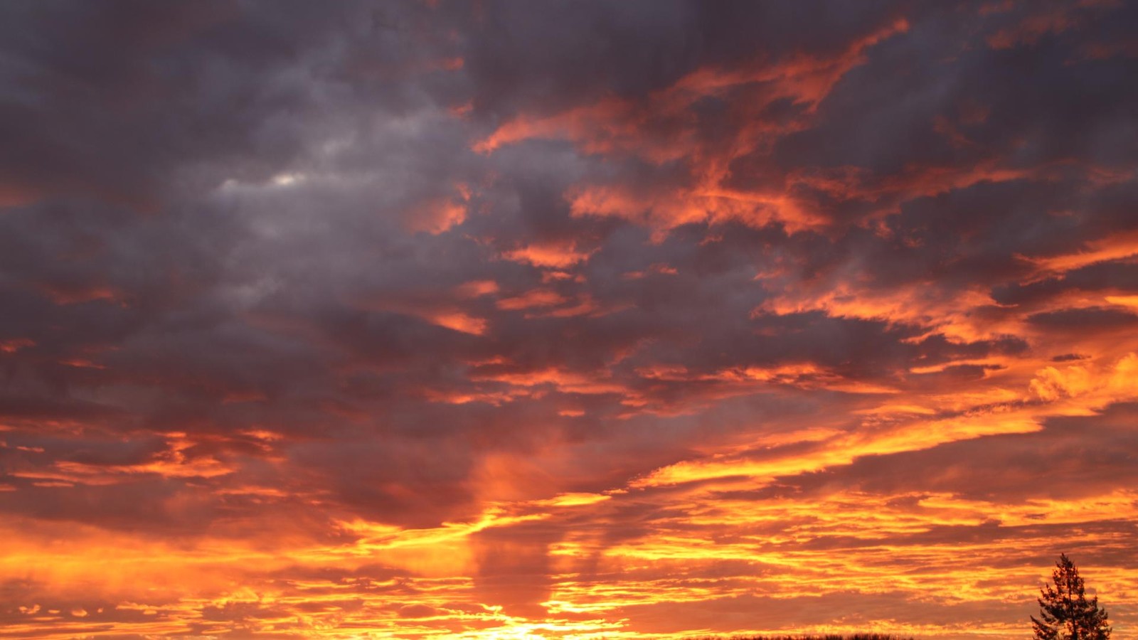 Geiz-ist-nicht-geil-Wenn-Wertsch-tzung-auf-der-Strecke-bleibt