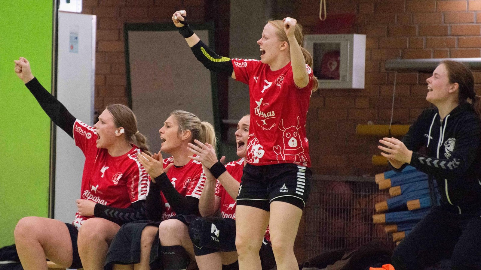 Positiver-Jahresausklang-Damen-der-HSG-HMI-punkten-gegen-den-Spitzenreiter