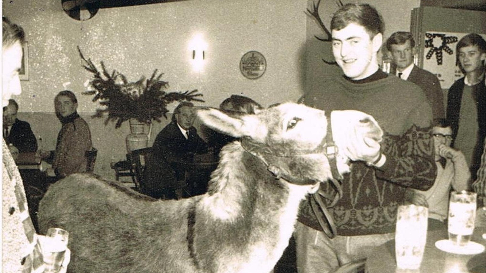 Esel-mit-Alkoholproblem-Wie-Lotte-viele-Jahre-lang-Party-im-Harz-macht