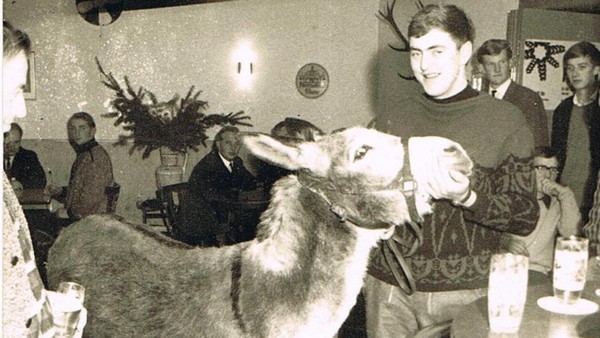 Betrunkener Esel liegt im Koma: Tierarzt diagnostiziert Vollrausch