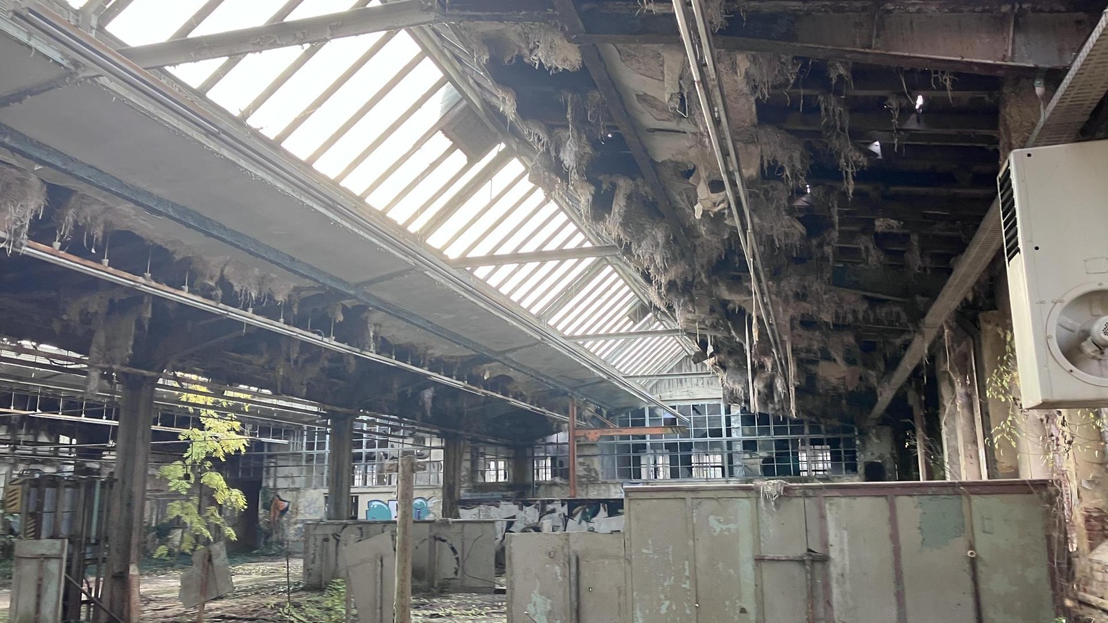 Lost-Place-in-Gera-Soll-die-Sheddachhalle-einer-Zweifelderhalle-weichen-