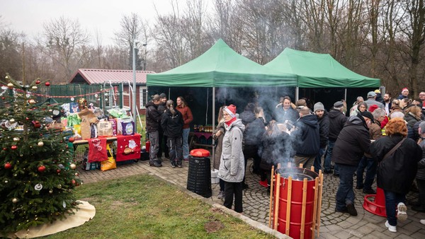 „Brauchen Spenden“: Tierheim-Team in Salzgitter ist glücklich über Bescherung