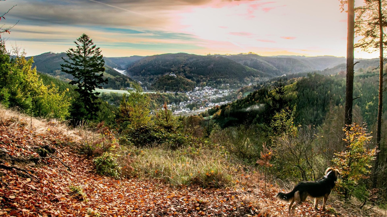 Gro-es-Stadtjubil-um-in-Saalfeld-Rudolstadt-Schirmherr-ist-Innenminister-Georg-Maier