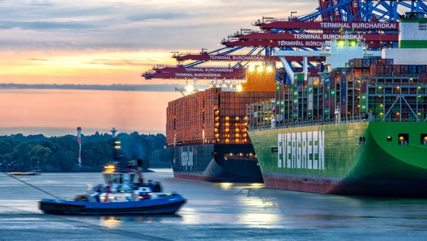 Blinder Passagier: Gans reist auf Containerschiff in Hamburger Hafen ein