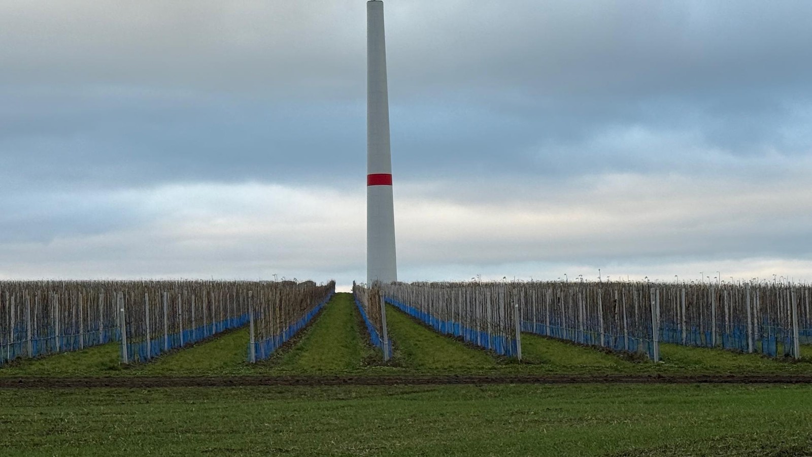 Zahl-der-Windr-der-im-Kreis-S-mmerda-k-nnte-sich-verdoppeln