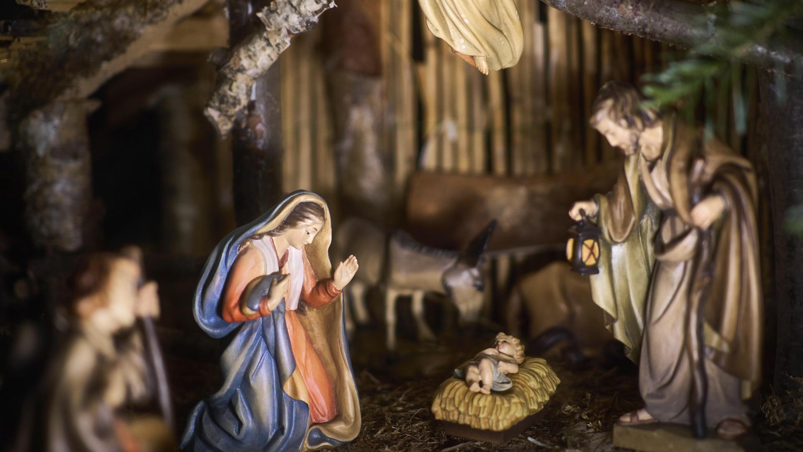 Zum-Holocaust-Gedenktag-Was-wir-aus-der-Shoah-lernen-m-ssen