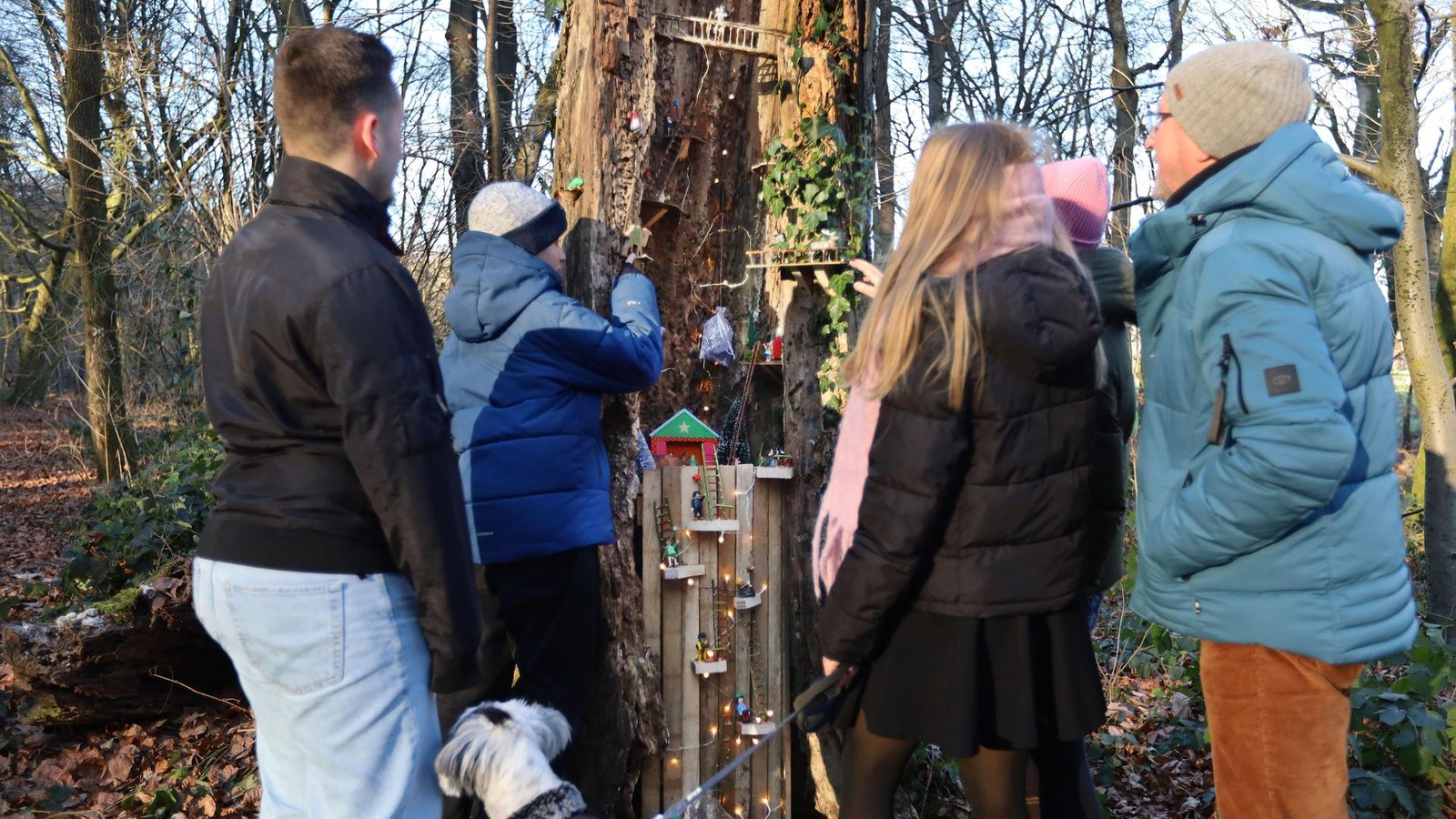 Der-Wunderbaum-von-Schneppenbaum-Welche-Wichtel-waren-im-Wald-bei-Bedburg-Hau-