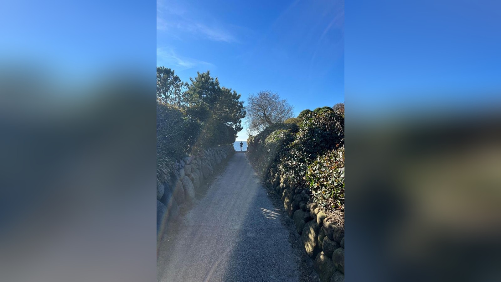 Momente-des-Jahres-ein-St-ckchen-Leben-