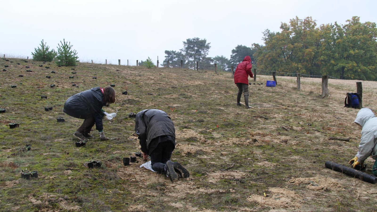Baumberge-in-Heiligensee-Vom-Panzerfahrplatz-zum-Naturschutzgebiet