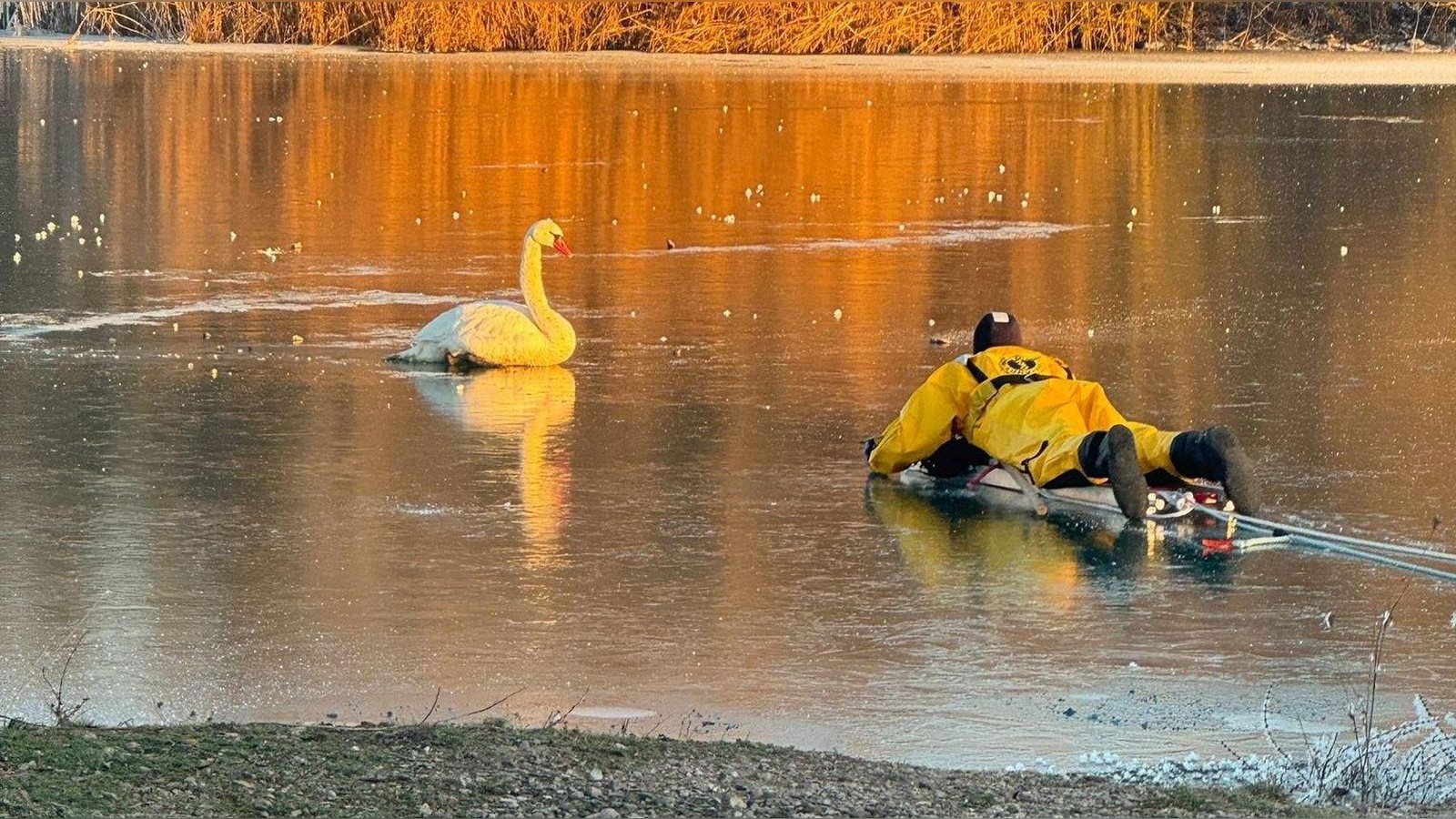 Dramatische-Rettungsaktion-vom-Eis-des-Alperstedter-Sees