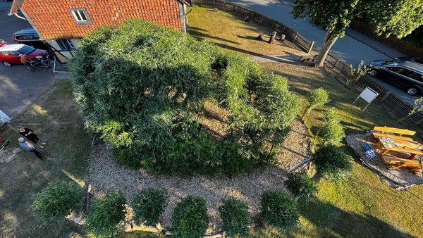 Heimatkunde im Landkreis Peine – dieses „wandelnde Lexikon“ tritt ab