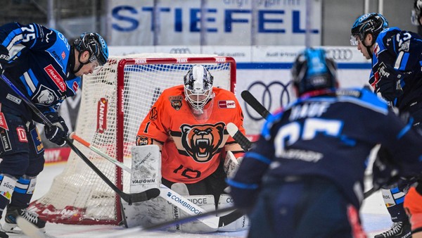 Trotz knapper Niederlage: Grizzlys-Aufwärtstrend hält weiter an