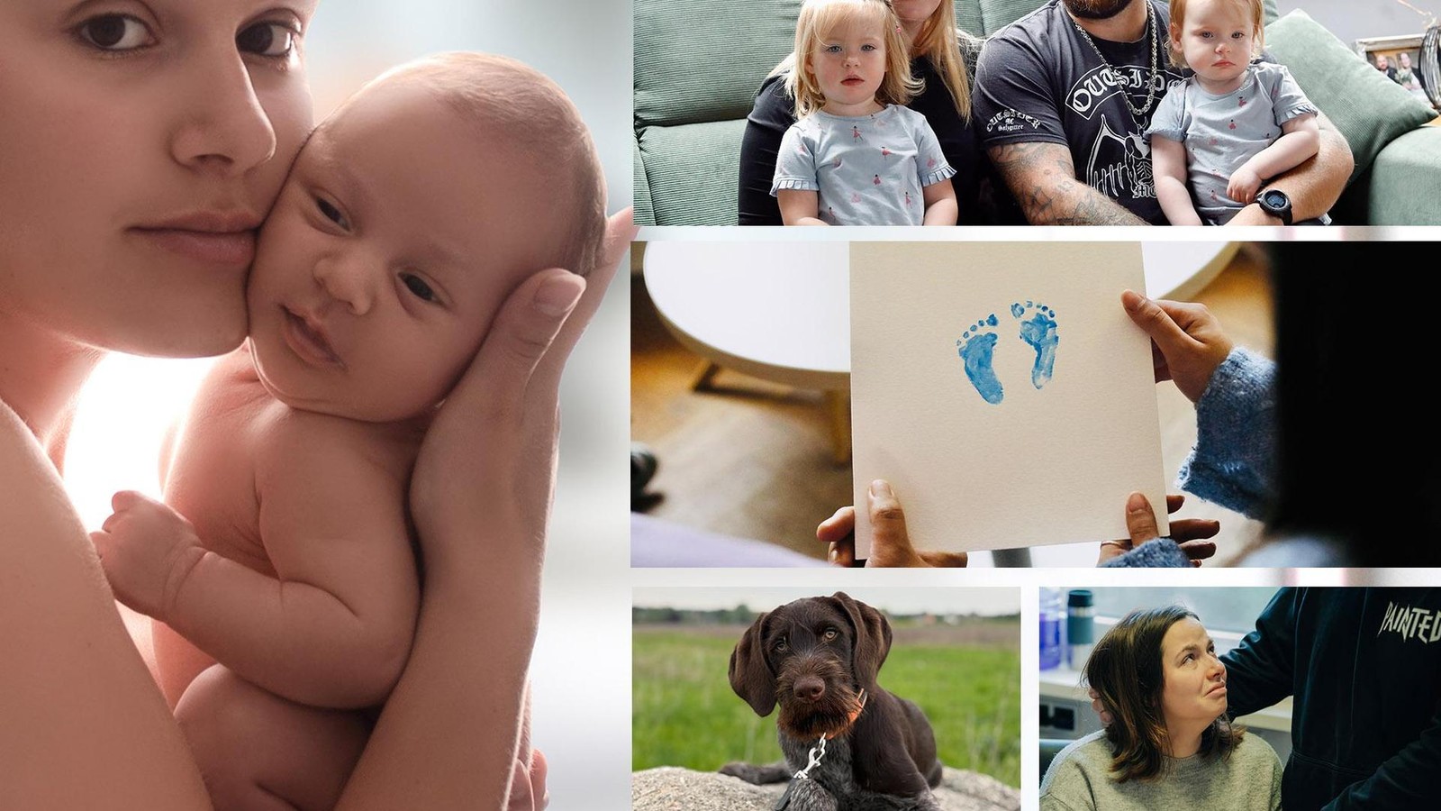 Tr-nen-Hoffnung-Mut-Geschichten-die-uns-in-Braunschweig-besonders-ber-hrten