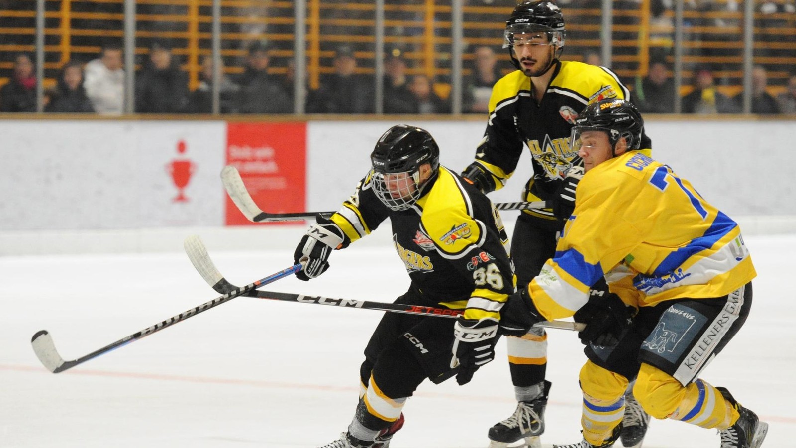 Dinslaken-Kobras-N-chster-Neuer-mit-Physis-Zug-zum-Tor-und-Abschlussqualit-t-