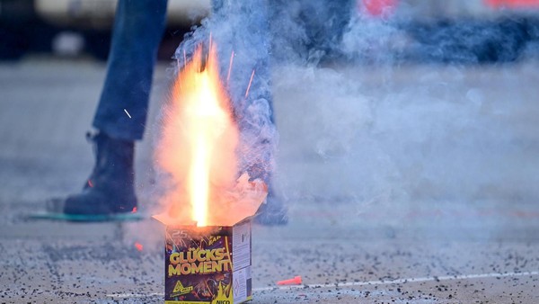 Verfrühte Knallerei: Feuerwerksbatterie auf Pferdekoppel geworfen