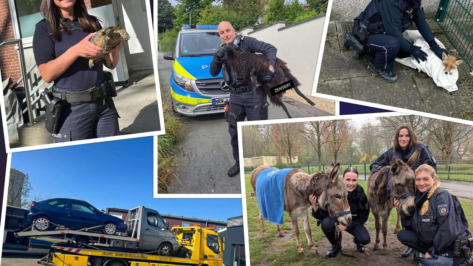 Diese-verr-ckten-F-lle-erlebte-die-Polizei-2025-auch-in-Witten