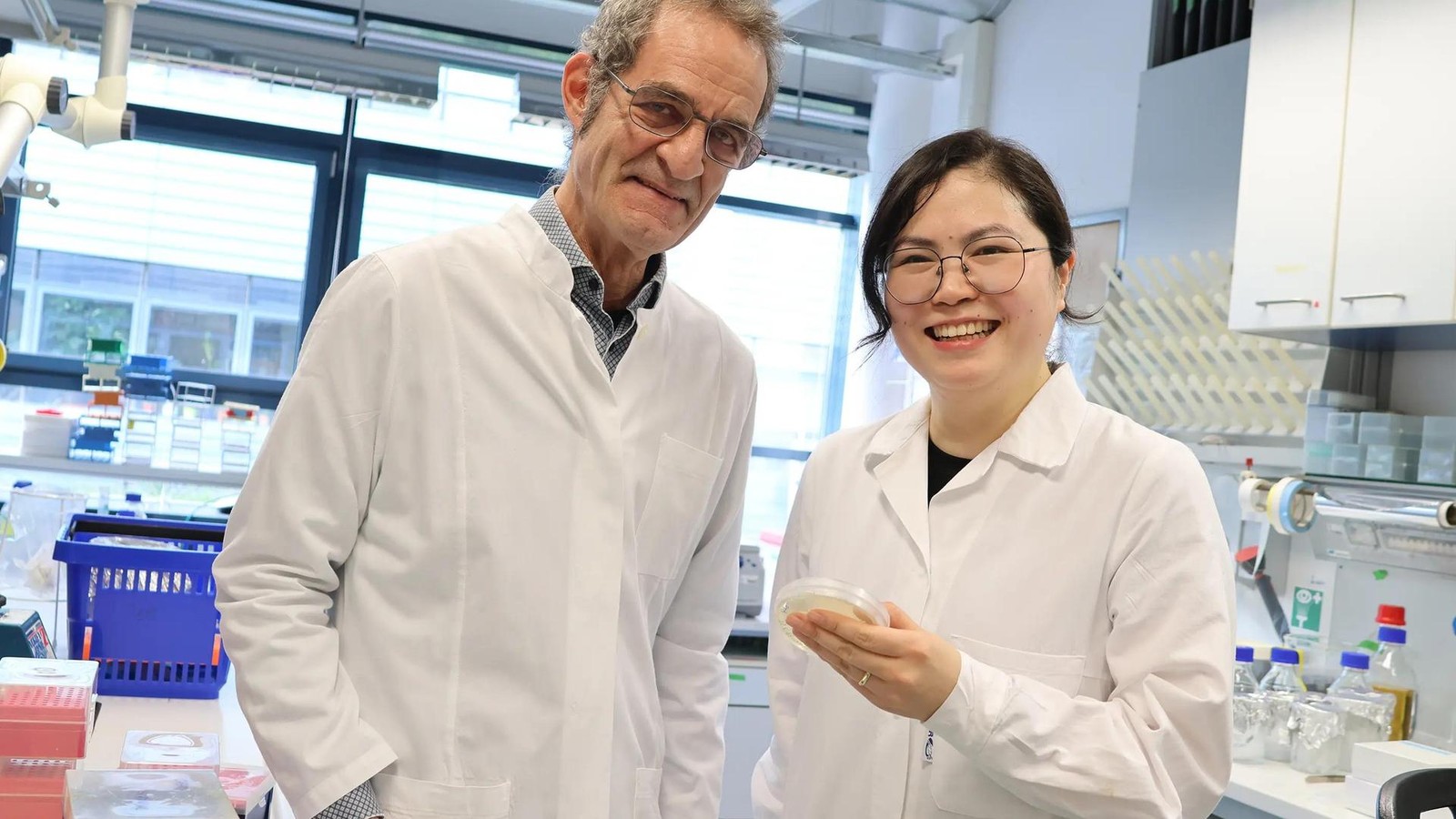 Forschung-in-Jena-Wie-ein-Pilz-gegen-Borkenk-fer-helfen-kann