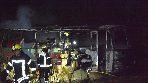 Bundesweites Böllerverbot sofort – Erste Partei prescht vor