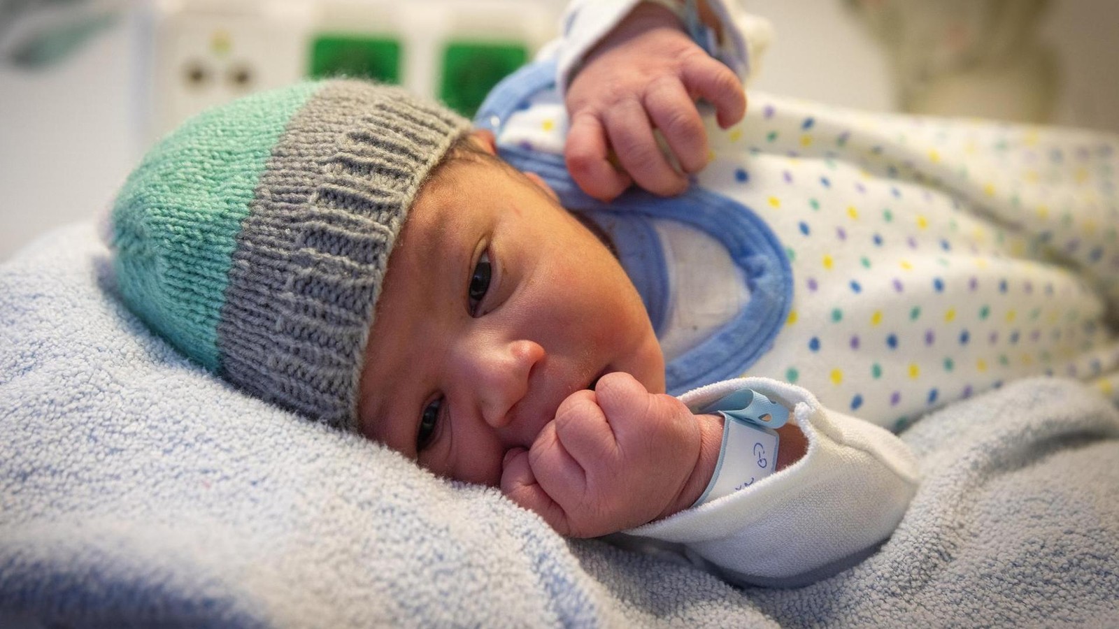 guckguck-das-ist-erfurts-erstes-baby-2026