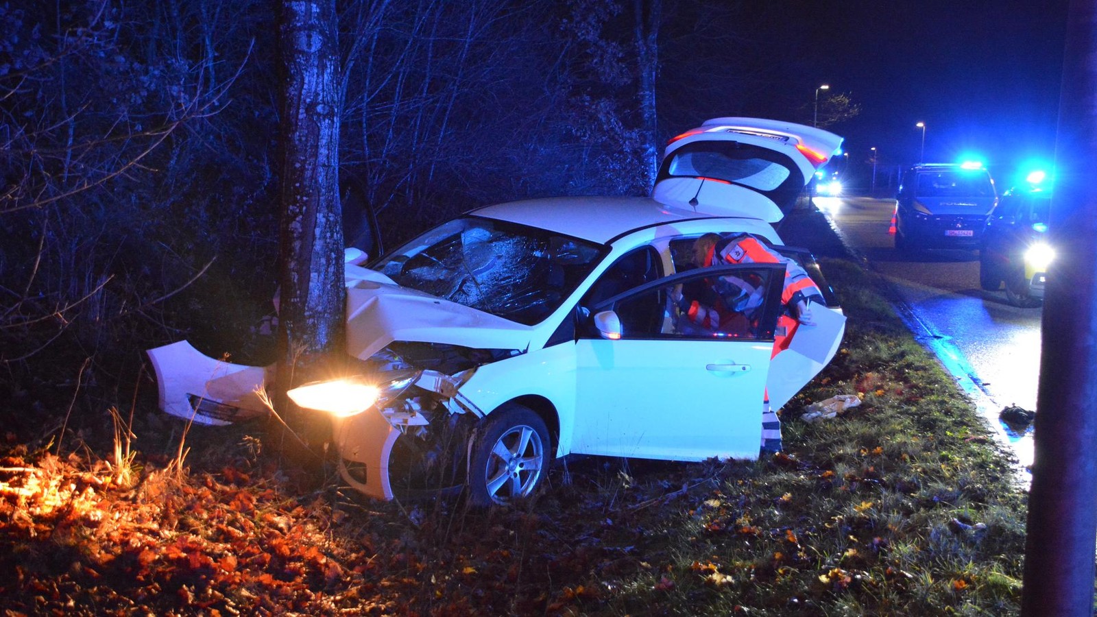 Hase-auf-der-Stra-e-32-J-hriger-weicht-aus-und-f-hrt-gegen-Baum