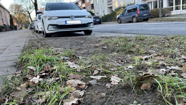 Grüne fordern härtere Gangart gegen Parksünder und scheitern