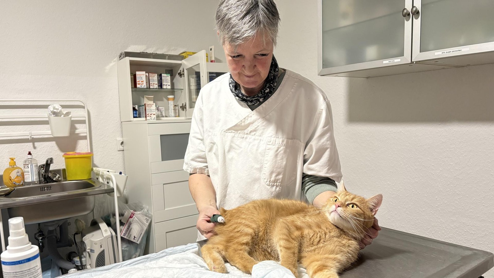 Der-ganz-normale-Wahnsinn-in-einer-Tierarztpraxis-ein-Ortsbesuch