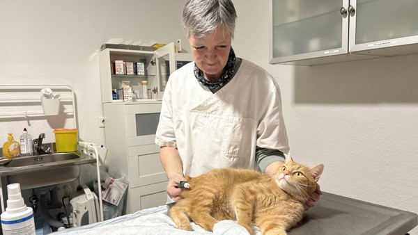 Der ganz normale Wahnsinn in einer Tierarztpraxis – ein Ortsbesuch