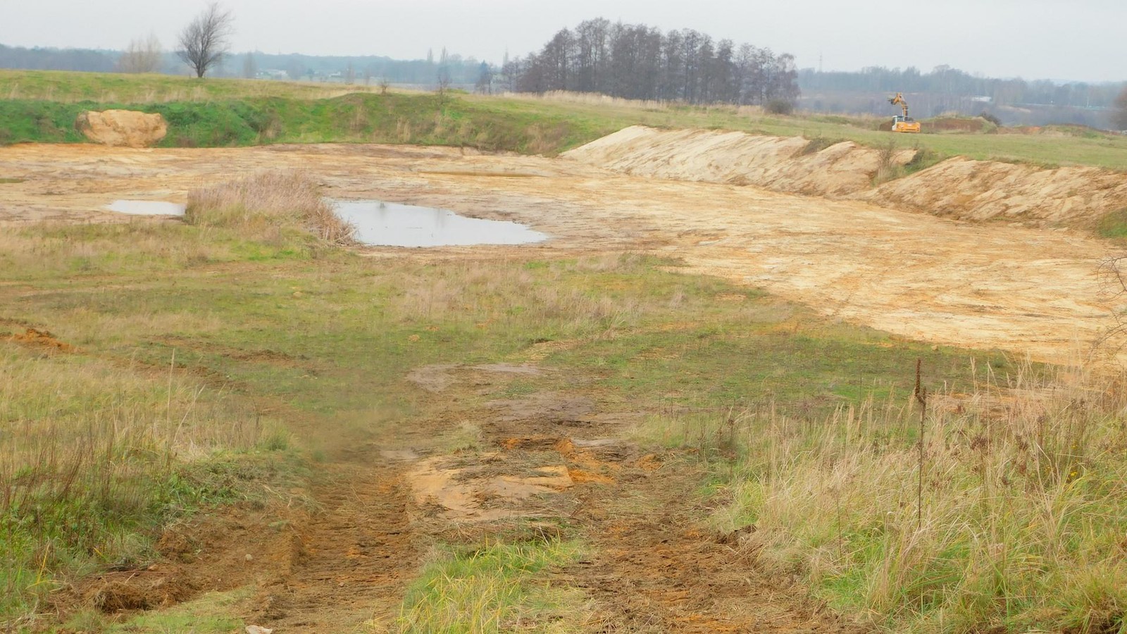 Im-Kreis-Wolfenb-ttel-soll-es-B-umen-und-Kr-ten-besser-gehen