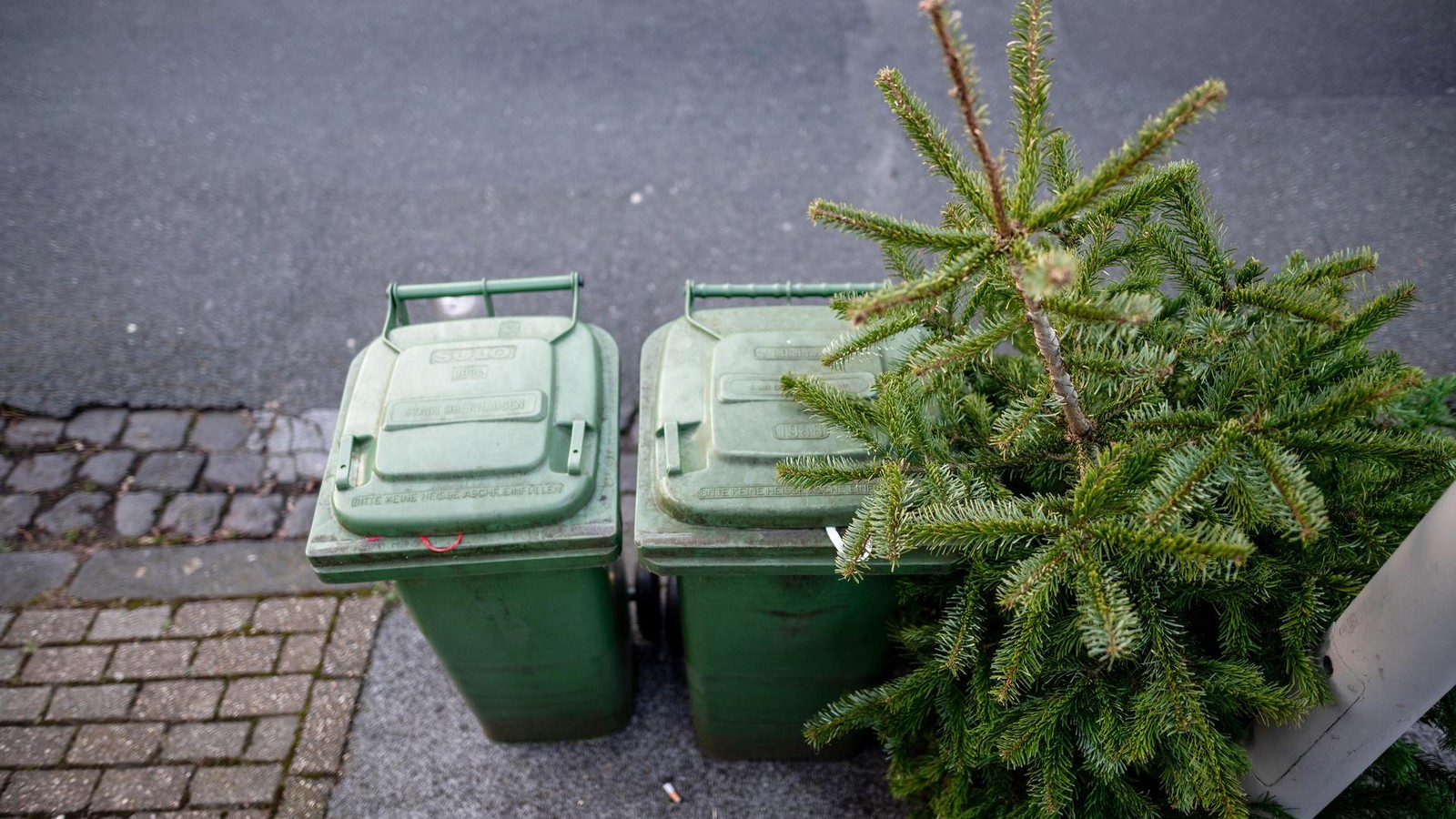 Service-ZBG-holt-ausrangierte-Weihnachtsb-ume-ab-kostenlos