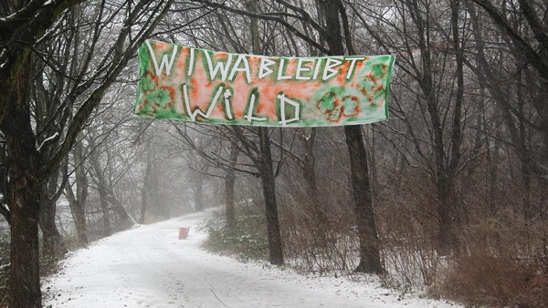 Wohnen oder Wald? Wilhelmsburg streitet um 0,1 Quadratkilometer Grün