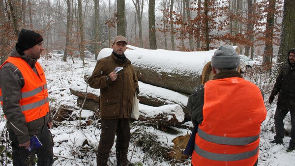 Brennholzversteigerung im Peiner Schneetreiben lockt Schnäppchenjäger