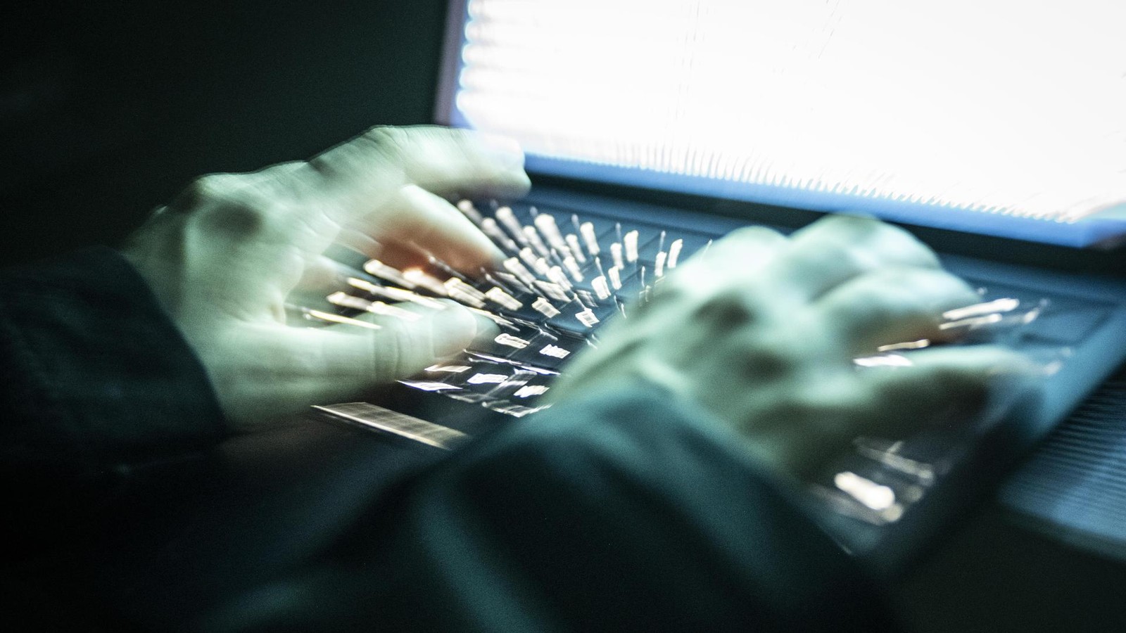 Mordanklage-gegen-White-Tiger-Fragen-und-Antworten-zum-Prozess-in-Hamburg