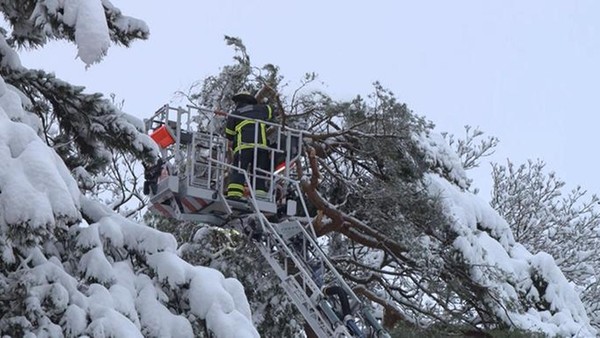 Äste drohen unter Schneelast zu brechen – Christmas Garden heute geschlossen