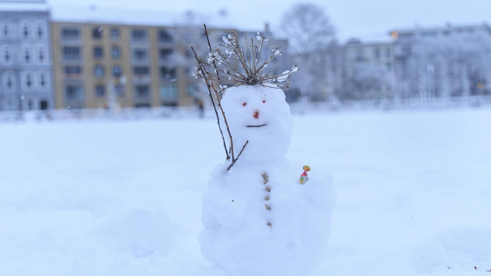 Schnee-nimmt-kein-Ende-Hamburg-bleibt-bis-zur-Wochenmitte-wei-
