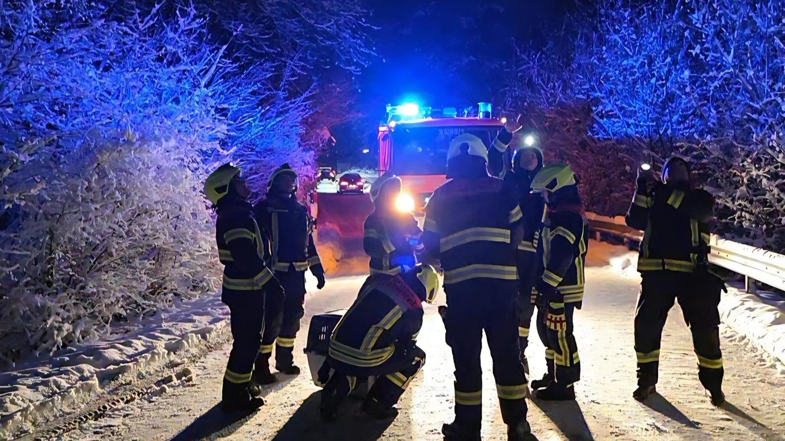 Feuerwehrleute-retten-Bussard-und-Waldschnepfe-vor-dem-Tod