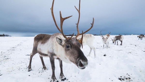 Unsere Lese-Tipps zum Schneegestöber: Bücher voller Eis, Schnee und Kälte