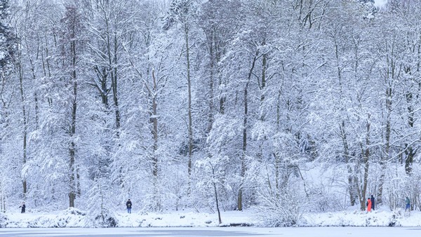 Wegen Gefahr durch abbrechende Äste: Hauptfriedhof Altona gesperrt