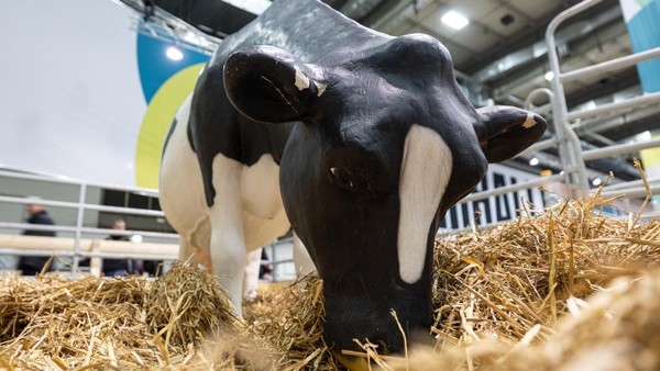 Grüne Woche 2026 in Berlin: Tickets, Preise – wichtige Infos