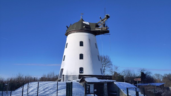 Windmühle in Wendhausen wird teuer saniert: Diese Arbeiten stehen an