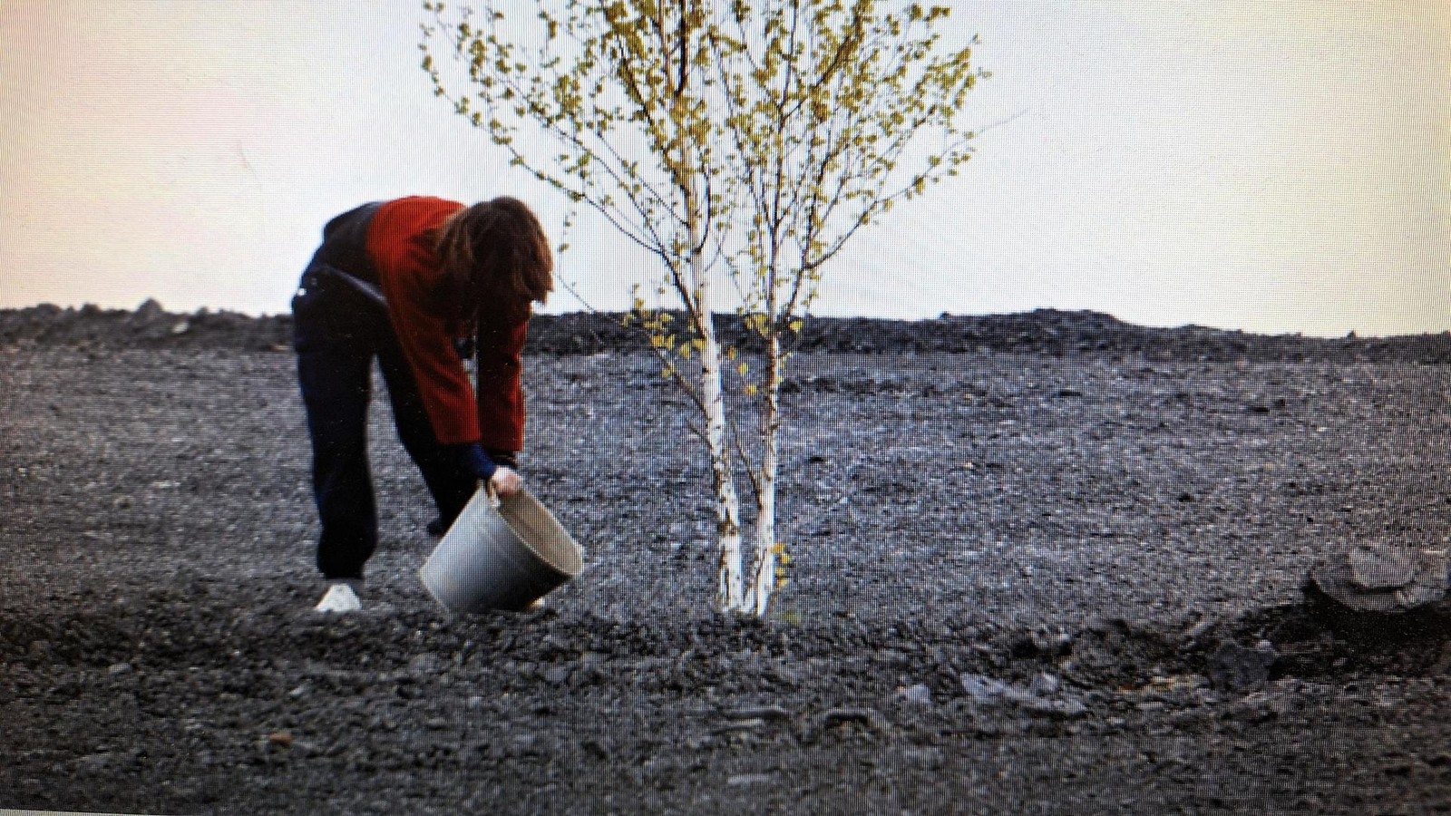 Nordhausen-im-Kino-Dump-erlebt-seine-Welt-Premiere-auf-dem-Film-Festival-in-Rotterdam