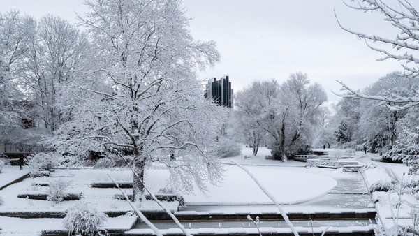 Zuviel Schnee auf den Bäumen: Planten un Blomen bleibt ab Dienstag geschlossen