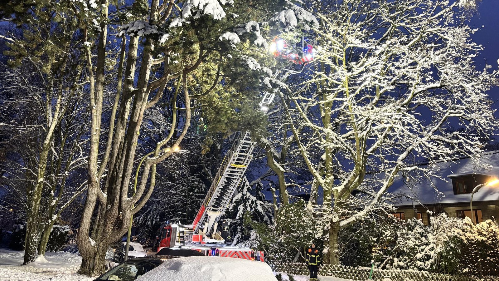 Schnee-l-sst-ste-brechen-Was-tun-wenn-B-ume-zur-Gefahr-werden-