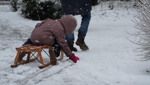 Schlitten in Hamburg nicht mehr zu bekommen – horrende Online-Preise