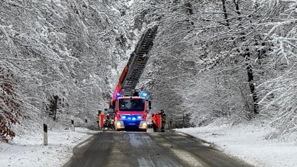 Lebensgefahr: Stadt warnt vor Betreten der Wälder