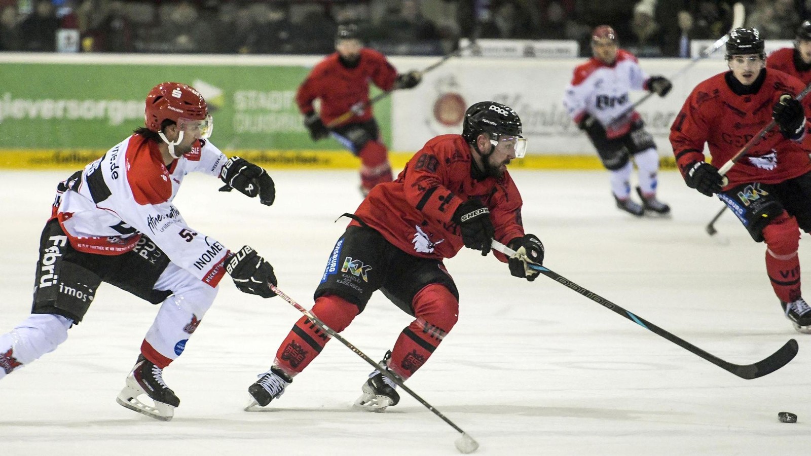 F-chse-Duisburg-Drachenz-hmen-erfolgreich-gemacht